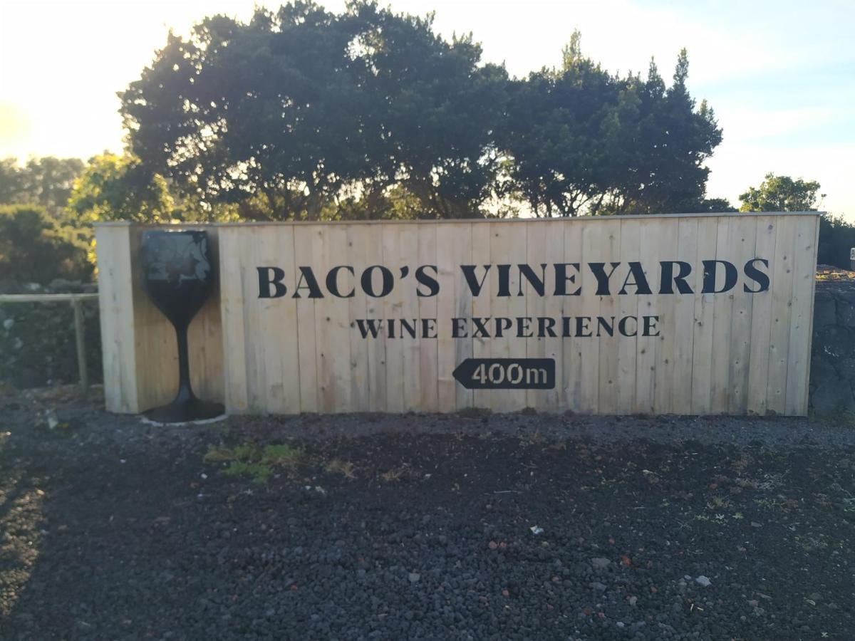 Вилла Baco'S Vineyard Lajido Экстерьер фото